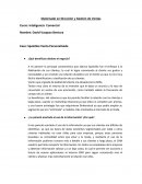 Inteligencia Comercial - SpainSko Venta Personalizada