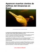 Aparecen muertos cientos de delfines del Amazonas en Brasil