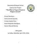“The Effect of Type of Food on Tilapia’s Growth”