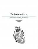 Sistema cardiovascular- circulatorio