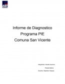 Informe de Diagnostico Programa PIE