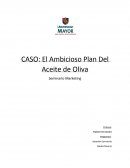 CASO: El Ambicioso Plan Del Aceite de Oliva