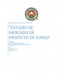 “ESTUDIO DE MERCADO DE PROYECTO DE CURSO”