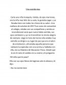 Una suicida mas