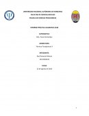 Imforme de practica academica