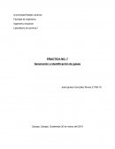 PRACTICA NO. 7 Generación e identificación de gases