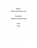 Politics and Business Law