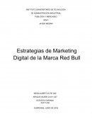 Informe de Marketing digital de Red Bull