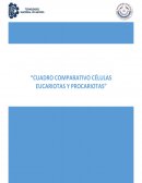 Cuadro comparativo células Eucariotas y Procariotas