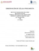OBSERVACIÓN DE CÉLULA PROCARIOTA
