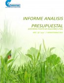 Informe analisis presupuestal