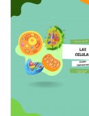 Cuadro comparativo células procariotas y eucariotas