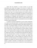 Una sociedad de Julias