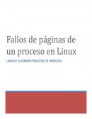 Fallos de pagina de un proceso en Linux