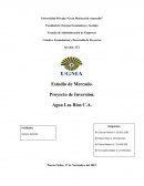 Estudio de Mercado. Proyecto de Inversión. Agua Los Ríos C.A.