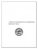 Manual de organización de la: distribuidora ferretera “Tejeda”