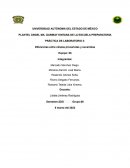 Diferencias entre células procariotas y eucariotas