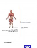 Anatomofisiología y su importancia en el área de la fisioterapia