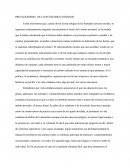 Protagonismo De Lo Rutinario Cotidiano