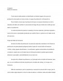 Daños De Formación
