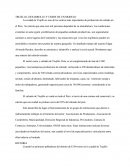 SECTOR CALZADO EN TRUJILLO