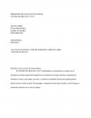 Programa De Salud Ocupacional