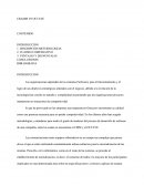 OCTAVE VRS CRAMM APOYO ISO 270001