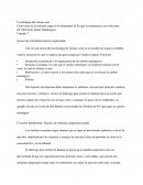 Estrategia Océano Azul