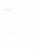 Liderazgo En Equipos De Trabajo