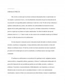 Embarazo Adolescente