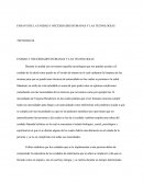 Tecnologías Para El Cuidado De La Salud