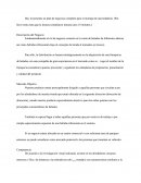 Montaje De Una Heladería