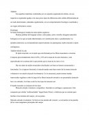 Tejidos orgánicos