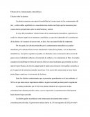 Efectos De Los Contaminantes Atmosféricos