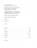 Inseminación Artificial