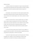 Diferencias Culturales