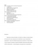 Metodología De La Negociación