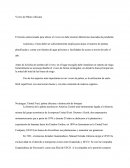 Viveros De Palma Africana