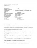 DIRECCIONAMIENTO ESTRATEGICO