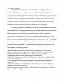 Hábitos De La Gente Efectiva