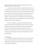 Detergentes Y Jabones