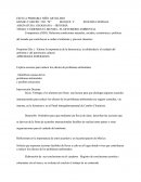 EL DETERIORO AMBIENTAL
