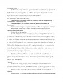 División Del Trabajo Adam Smith