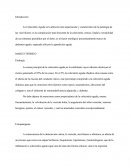 Colecistitis Aguda