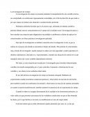 La Investigación De Campo