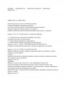 Planeación 5to Grado