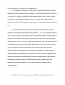 En Que Medida El Adn Nos Hace Diferentes