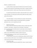 CLASES DE FRUTAS, PROPIEDADES Y BENEFICIOS