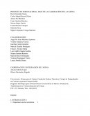 Cunicultura