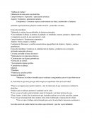 Planeación De Preescolar, Una Mañana De Trabajo